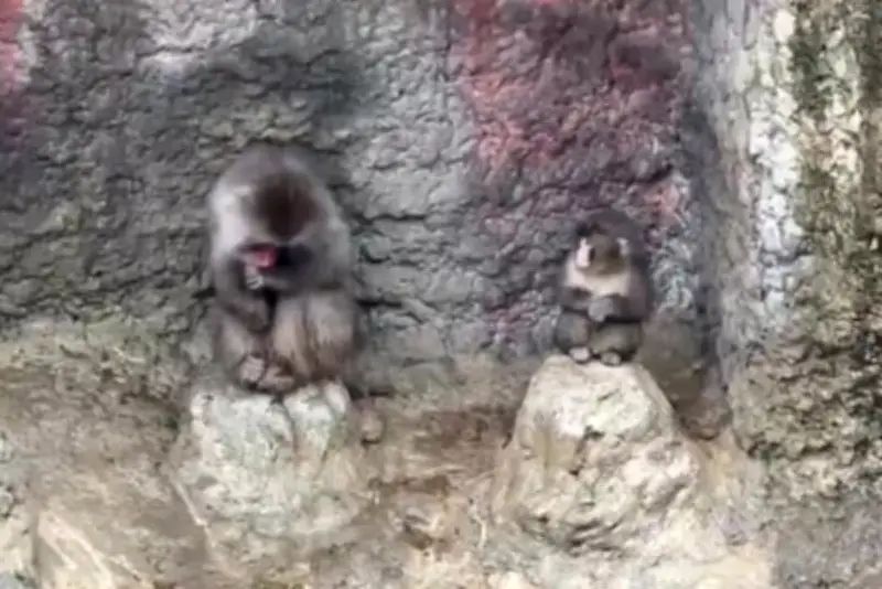 বিশ্বজুড়ে অনলাইন শিক্ষার জনপ্রিয়তা বাড়ছে, নতুন সম্ভাবনার দ্বার খুলছে