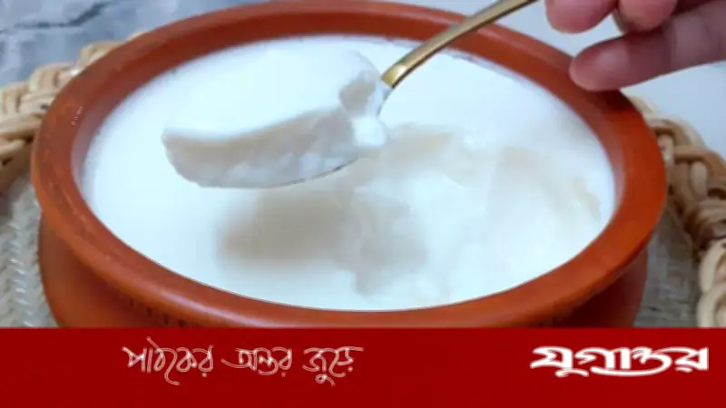 টক দই ও ঘোল: পেটের স্বাস্থ্যের জন্য কোনটি বেশি উপকারী?