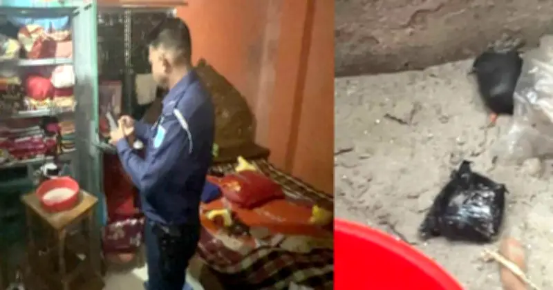 নারায়ণগঞ্জে প্রকাশ্য দিবালোকে ককটেল বিস্ফোরণ ও ডাকাতি: প্রবাসীর বাড়িতে আতঙ্ক