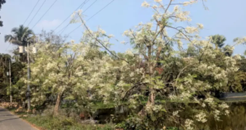 বাংলাদেশে অনলাইন শিক্ষার অগ্রগতি: নতুন সম্ভাবনা ও চ্যালেঞ্জ