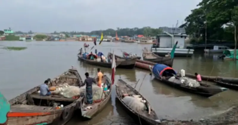 মেঘনা নদীতে দুই মাসের মাছ ধরা নিষেধাজ্ঞা, জাটকা সংরক্ষণে সরকারি উদ্যোগ