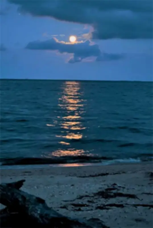 বানানিতে জুমার নামাজের পর প্রধানমন্ত্রীর শিশুদের সাথে উষ্ণ মুহূর্ত, পঞ্চগড়ে নদী রক্ষা প্রকল্প