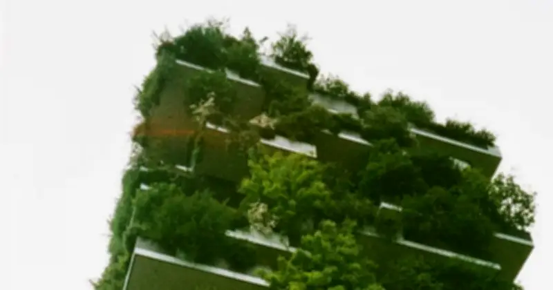 ঢাকা দক্ষিণ সিটি কর্পোরেশনের 'সবুজ শহর' পরিকল্পনা: প্রতিশ্রুতি নাকি বাস্তবায়ন?