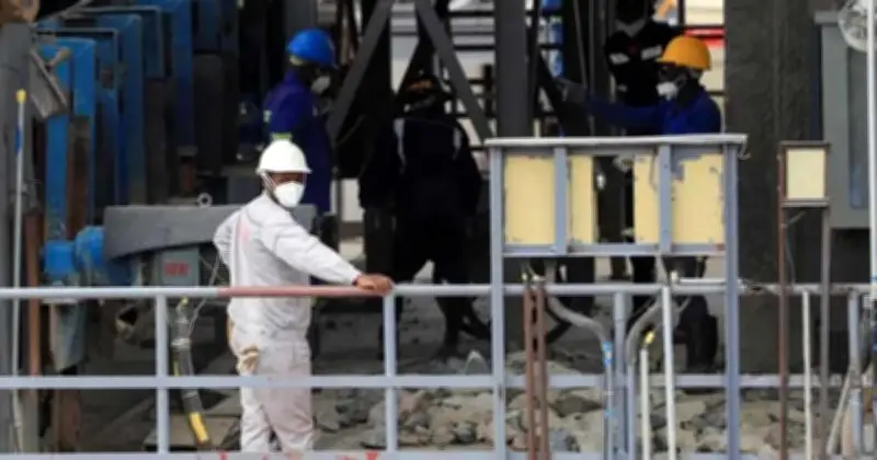 জিম্বাবুয়ের ঐতিহাসিক সিদ্ধান্ত: লিথিয়ামসহ সব কাঁচামাল রফতানি নিষিদ্ধ