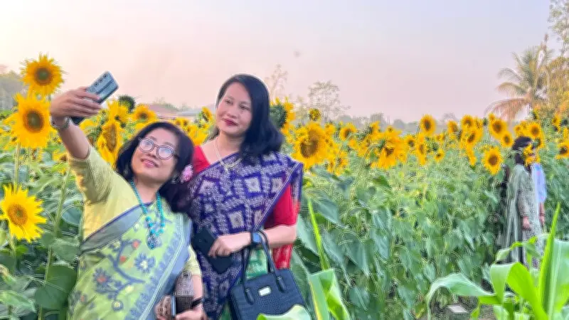 খাগড়াছড়িতে সূর্যমুখী বাগানে টিকিটের ব্যবস্থায় বদলে গেছে চিত্র, দর্শনার্থীদের ভিড়