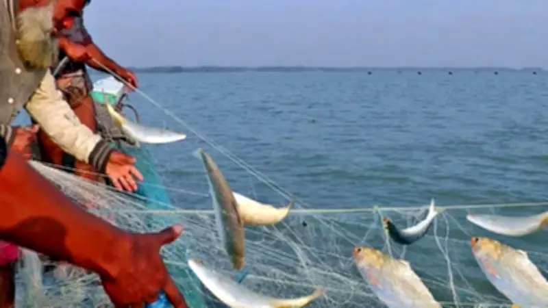 মধ্যরাত থেকে পদ্মা-মেঘনায় ২ মাস মাছ ধরা নিষিদ্ধ, ঈদের সম্ভাব্য তারিখ প্রকাশ