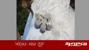 বাগেরহাটে যৌথ অভিযানে ৬টি ককটেল উদ্ধার, নির্বাচন বানচালের ষড়যন্ত্রের ইঙ্গিত