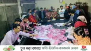 ত্রয়োদশ জাতীয় নির্বাচন ও গণভোটের ভোট গণনা প্রক্রিয়া: ধাপে ধাপে বিশ্লেষণ