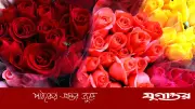গোলাপের সংখ্যা ও রঙের ভাষা: ভালোবাসা দিবসে কী বার্তা দেয় প্রতিটি ফুল?