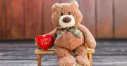 ভালোবাসার প্রতীক টেডি বিয়ার: নরম খেলনা থেকে আবেগের অনুষঙ্গ