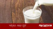 গরুর দুধের উপকারিতা ও সীমাবদ্ধতা: স্বাস্থ্যকর খাদ্য নাকি সমস্যার কারণ?