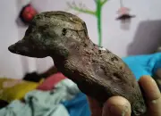 প্রকৃতির অপরূপ দৃশ্য: কাপ্তাই হ্রদ থেকে ফরিদপুরের মাঠ, মুকুল থেকে মৎস্যশিকার