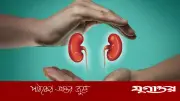 কিডনি সুস্থ আছে তো? ইউরিন পরীক্ষায় আগাম সতর্কতা পেতে পারেন
