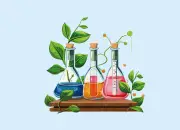 জীববিজ্ঞান অধ্যায়-২১: মিয়োসিস ও মাইটোসিসের গুরুত্বপূর্ণ প্রশ্নোত্তর বিশ্লেষণ