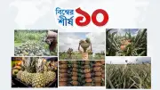 বিশ্বে আনারস উৎপাদনে শীর্ষ ১০ দেশের তালিকা প্রকাশ