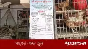 রোজার প্রথম দিনে রাজধানীর বাজারে মুরগির দাম বেড়েছে কেজিতে ২০ থেকে ১০০ টাকা