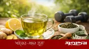 গ্রিন টি পান করছেন? যে ৮টি ভুল স্বাস্থ্যের জন্য মারাত্মক ঝুঁকি তৈরি করতে পারে