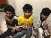 ব্যাটারিচালিত অটোরিকশা ছিনতাইয়ের চেষ্টা ব্যর্থ, জনতা ধরে পুলিশে সোপর্দ তিন যুবক