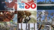 রমজানে খেজুরের গুরুত্ব ও বিশ্বব্যাপী এর উৎপাদন পরিসংখ্যান
