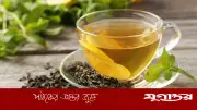 গ্রিন টি পান করার সময় যে ৮টি সাধারণ ভুলে স্বাস্থ্যের মারাত্মক ক্ষতি হতে পারে