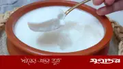 টক দই ও ঘোল: পেটের স্বাস্থ্যের জন্য কোনটি বেশি উপকারী?