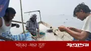 চাঁদপুরের পদ্মা-মেঘনায় দুই মাসের জন্য মাছ ধরা নিষেধাজ্ঞা জারি