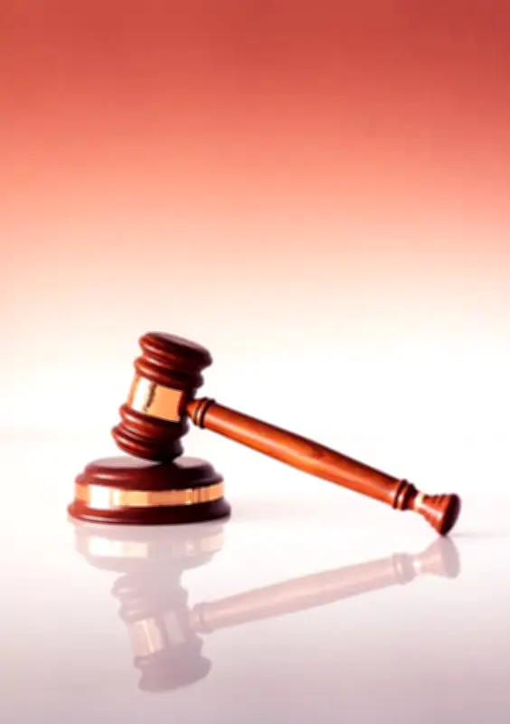 পৌরনীতি ও নাগরিকতাবহু নির্বাচনি প্রশ্ন: আইনের মূলকথা ও গুরুত্ব বিশ্লেষণ