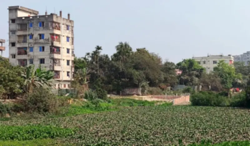 কিশোরগঞ্জের নরসুন্দা নদীর মাঝখানে অবৈধ সীমানা প্রাচীর নির্মাণ, সংসদ সদস্যের নির্দেশে অপসারণ