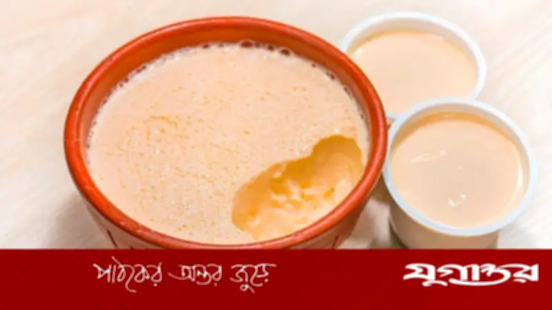 টিফিনে দই দিয়ে তৈরি স্বাস্থ্যকর খাবার: পেটের সমস্যা দূর করে সুস্থ থাকুন