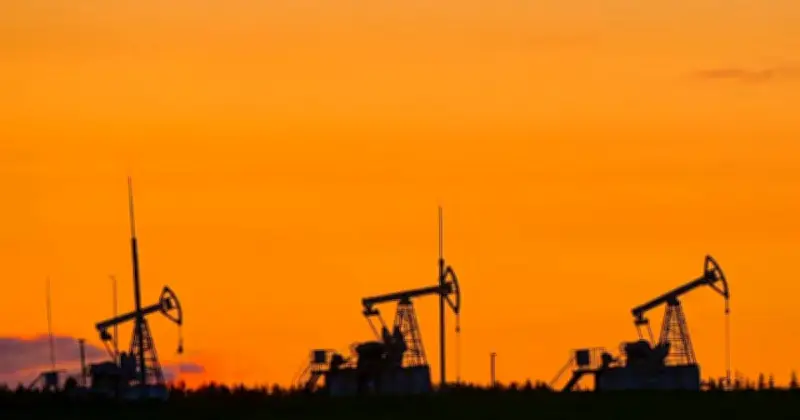 বিশ্ব বাজারে তেলের দাম ১০০ ডলার ছাড়ানোর আশঙ্কা, হরমুজ প্রণালী বন্ধের প্রভাব