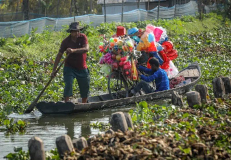 বাংলাদেশের গ্রামীণ জীবনের একঝলক: জলাবদ্ধতা থেকে পাহাড়ি শিশুদের সংগ্রাম