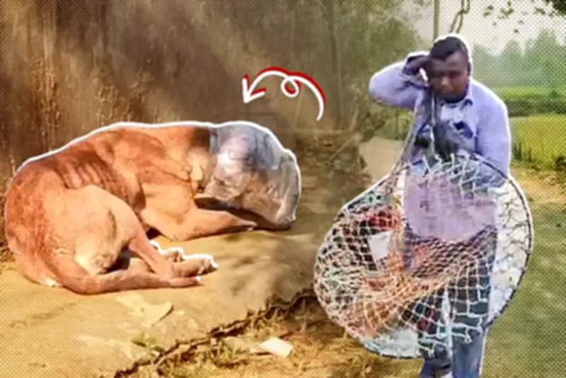 বাংলাদেশের শিক্ষার্থীদের জন্য নতুন অনলাইন শিক্ষা প্ল্যাটফর্ম চালু