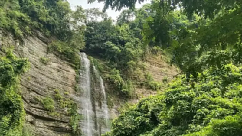 সীতাকুণ্ডে ধর্ষণের পর শ্বাসনালি কাটা ৮ বছরের মেয়েটি মারা গেছে