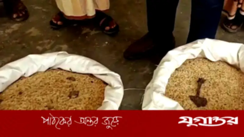 চান্দিনায় ভিজিডি চালে পোকা: খাদ্য কর্মকর্তা বৃষ্টিকে দায়ী, স্থানীয়রা তদন্ত দাবি