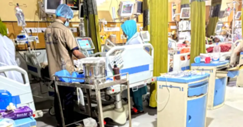 ঢাকার আইসিইউতে ছড়াচ্ছে ওষুধ-প্রতিরোধী 'সুপারবাগ' ক্যানডিডা অরিস, গবেষণায় উদ্বেগ