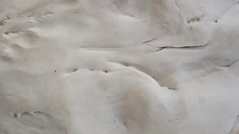 বগুড়ায় অস্বাস্থ্যকর পরিবেশে লাচ্ছা সেমাই উৎপাদন, ভ্রাম্যমাণ আদালতের অভিযানে ৩ লাখ ৪০ হাজার টাকা জরিমানা