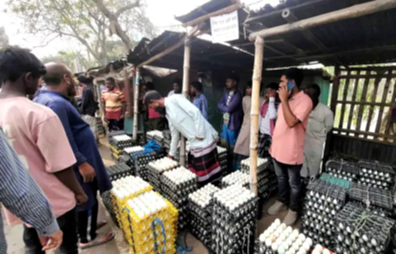 নাটোরের সিংড়ায় হাঁসের ডিমের দাম অর্ধেকে নেমেছে, খামারিরা বিপাকে