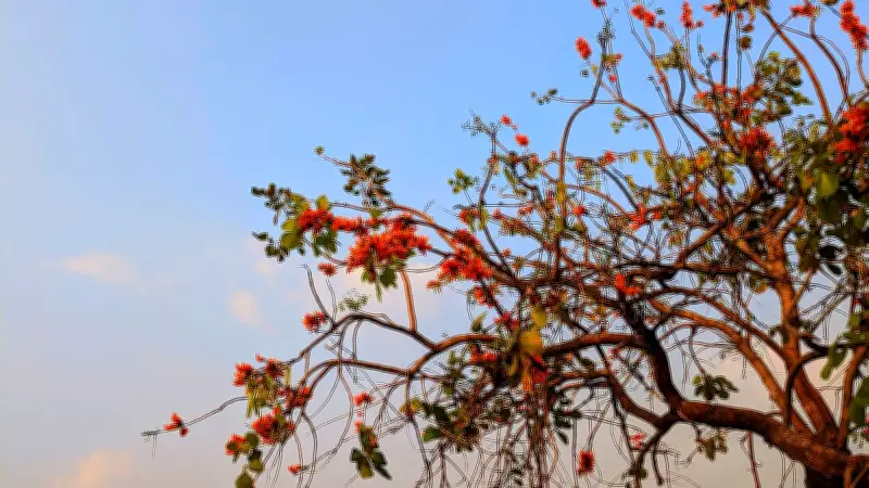 বাংলাদেশের নানা প্রান্তের জীবনচিত্র: শিক্ষার্থী থেকে কৃষক, ইফতার থেকে বসন্ত