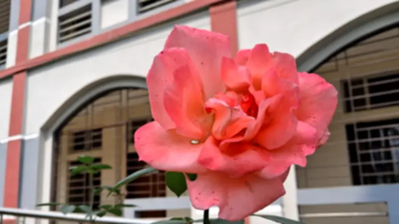 বাংলাদেশের রাজধানীতে আন্তর্জাতিক ফটোগ্রাফি প্রদর্শনীর উদ্বোধন