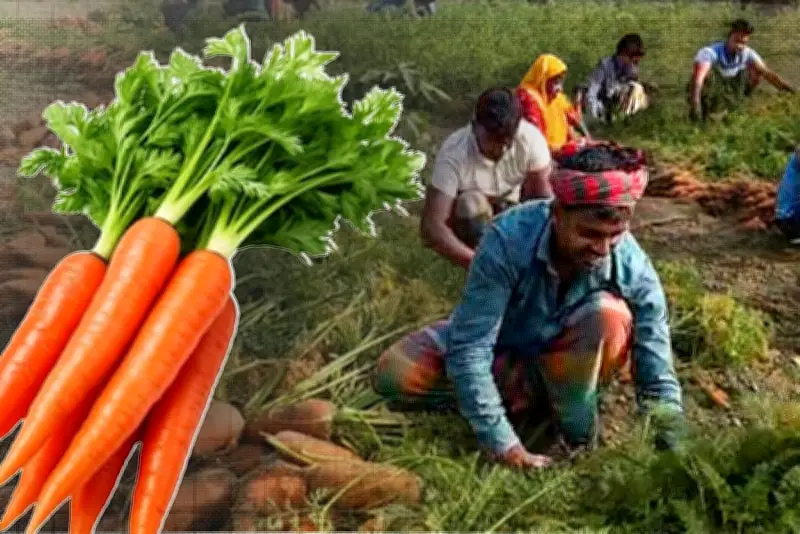 প্রথম আলোর ভিডিও বিভাগে বাংলাদেশের নানা দৃশ্য উপস্থাপন
