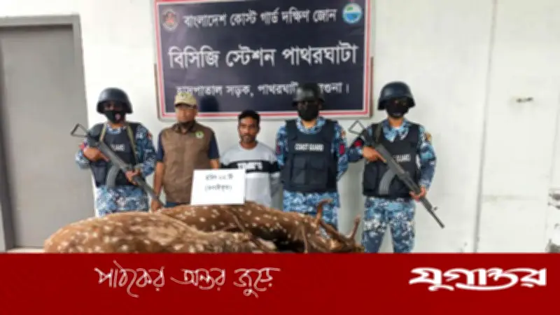 বন্যপ্রাণী নিধনের অপরাধে স্বামী কারাগারে, লজ্জায় স্ত্রী দিলেন তালাক