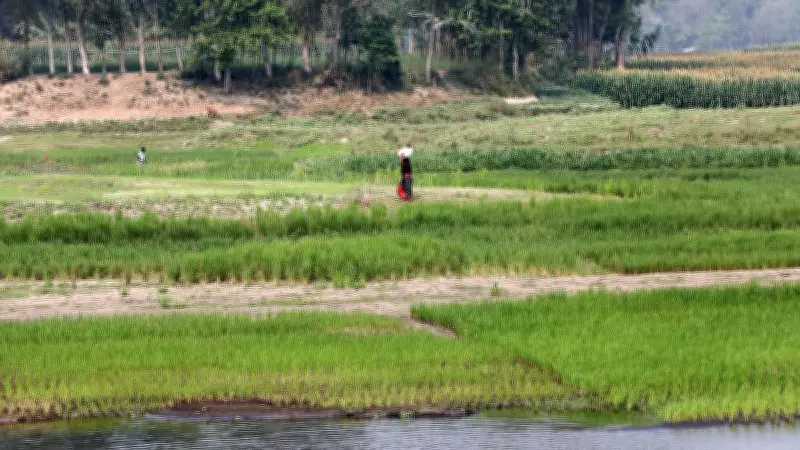 শুষ্ক মৌসুমে বাঙ্গালী নদীর শুকনো চিত্র: গ্রামীণ জীবনের নান্দনিক দৃশ্য