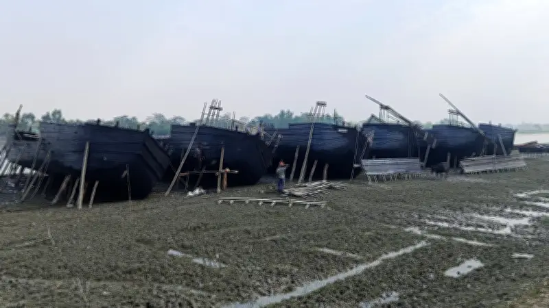 সুন্দরবনে গোলপাতা আহরণ অনিশ্চিত: বড় নৌকার মাপ নিয়ে বন বিভাগের আপত্তি