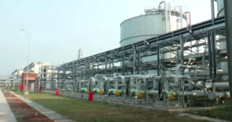 গ্যাস সংকটে ঘোড়াশাল পলাশ ইউরিয়া সার কারখানার উৎপাদন বন্ধ, প্রতিদিন ক্ষতি ২৮০০ মেট্রিক টন