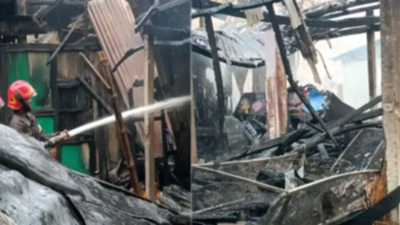 মতলবে অগ্নিকাণ্ডে তিন ঘর পুড়ে ছাই, রাজধানীতে ব্রয়লার মুরগির দাম বৃদ্ধি