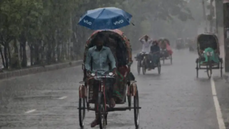 বজ্রসহ বৃষ্টির পূর্বাভাস, ট্রাম্প বিরুদ্ধে এপস্টেইন ফাইল ও ইবি শিক্ষিকা হত্যার অভিযোগ
