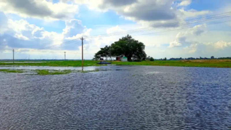 প্রকৃতির কোলে ফিরে যাওয়ার স্বপ্ন: মাটির চুলো, ডিঙিনৌকা আর ময়না পাখির রাজত্ব