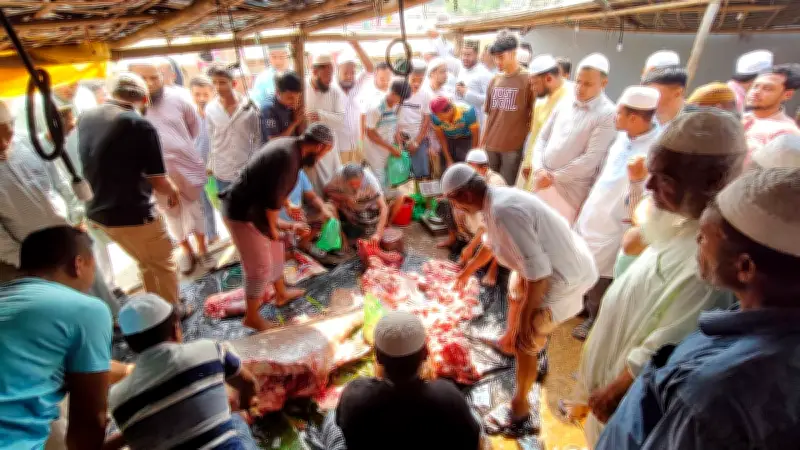 টেকনাফে পাঁচ মণ বোল মাছ বিক্রি, এক ঘণ্টায় আয় ৪ লাখ টাকা