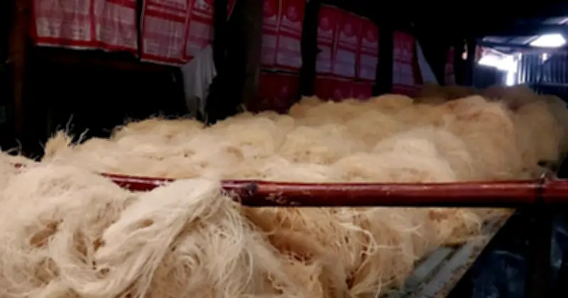 ঈদের আগে জামালপুরে নিম্নমানের সেমাই উৎপাদন, স্বাস্থ্যঝুঁকিতে জনগণ