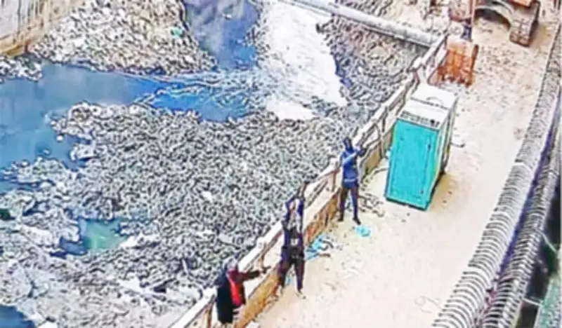 চট্টগ্রামে স্মার্ট গ্রুপ চেয়ারম্যানের বাসায় গুলি, পুলিশের অভিযানে এখনো সন্ত্রাসী ধরা পড়েনি